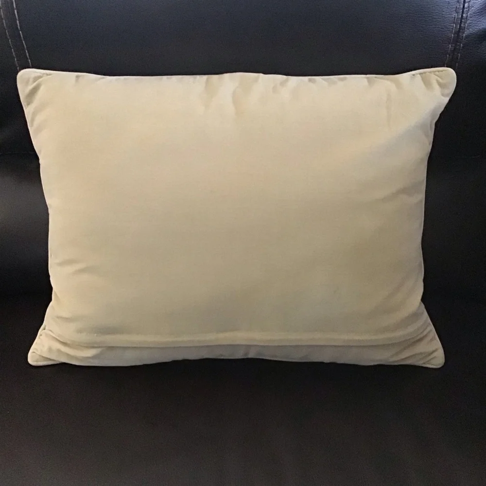 Needlepoint Throw Pillow Two Fish Bahamas Mark Catesby 16x20 Wool Velvet Zip Sea